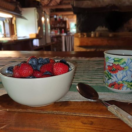 Tammese Anni Tourism Farmヴィラ エクステリア 写真