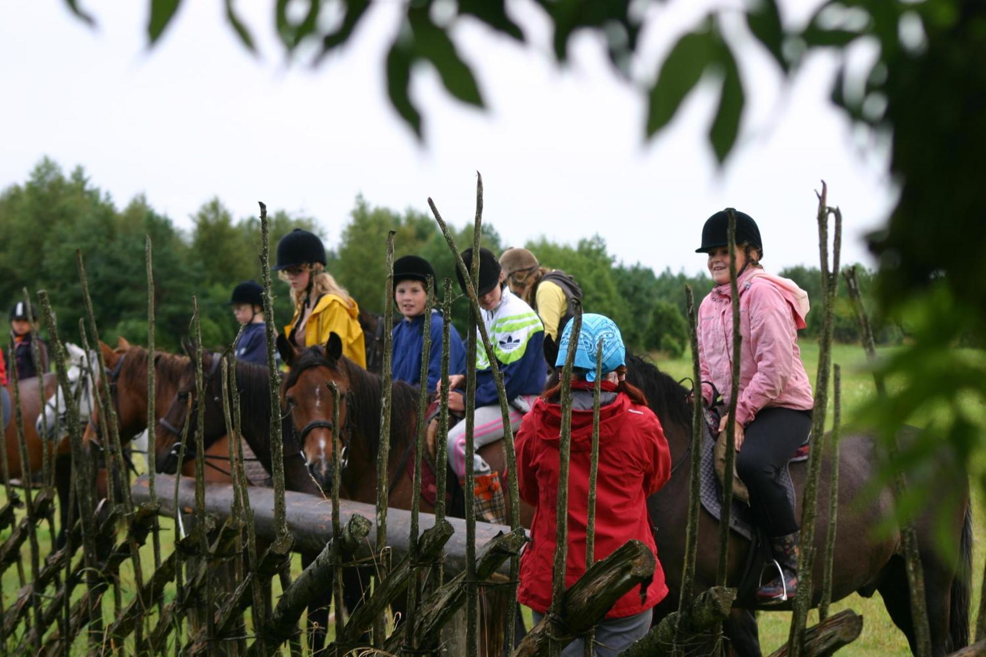 Tammese Anni Tourism Farmヴィラ エクステリア 写真