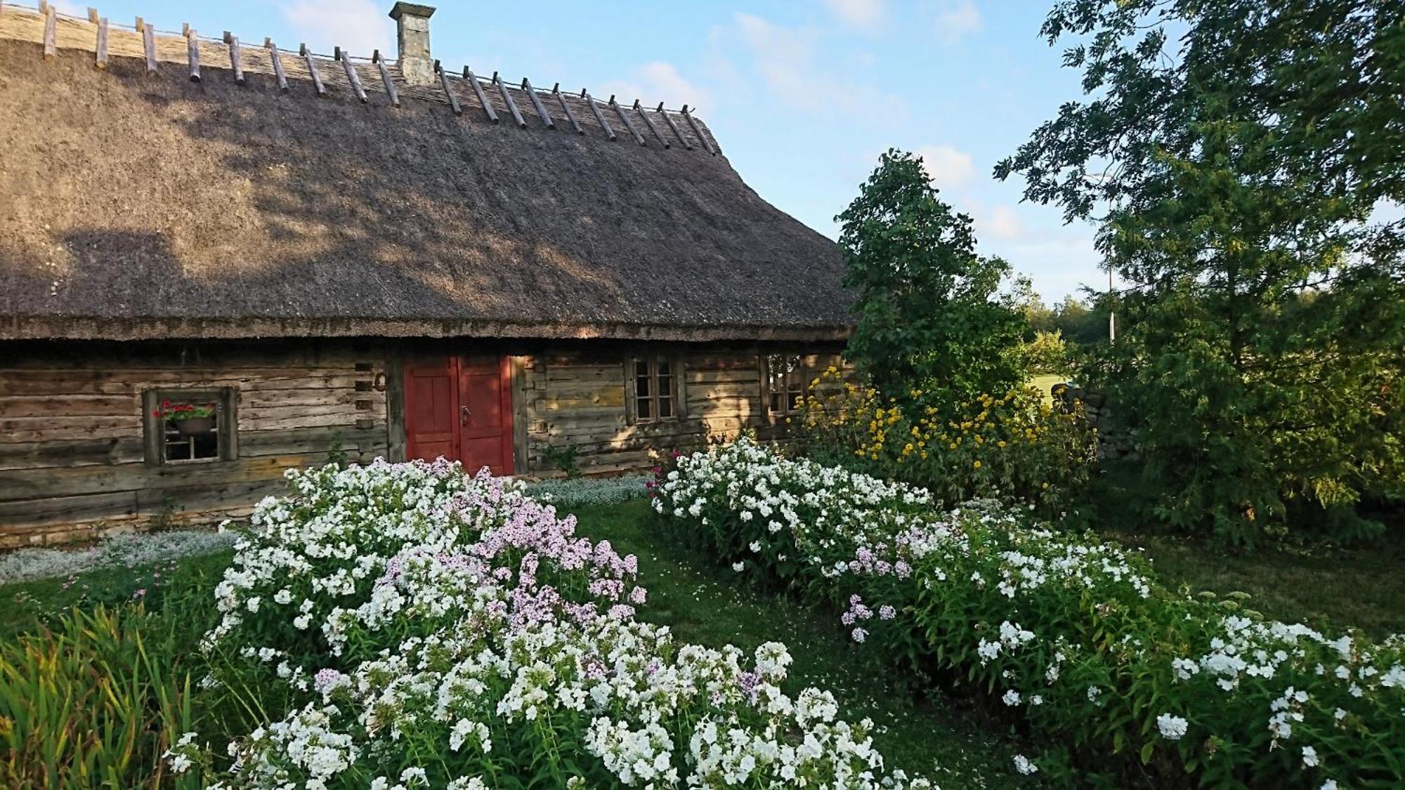Tammese Anni Tourism Farmヴィラ エクステリア 写真